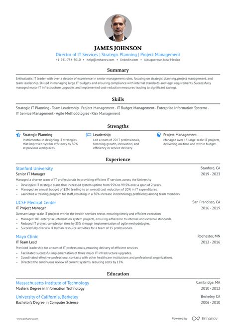 8 It Director Resume Examples And Guide For 2023