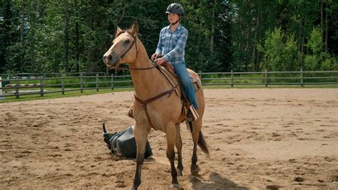 Chris Potter Directs Sunday’s Episode And More Heartland