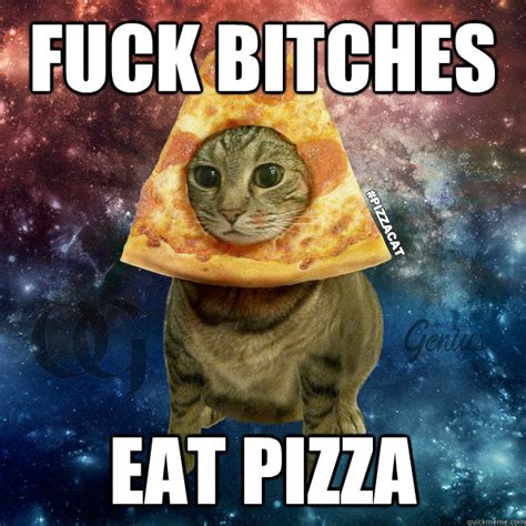 fuck bitches eat pizza pizzacat quickmeme
