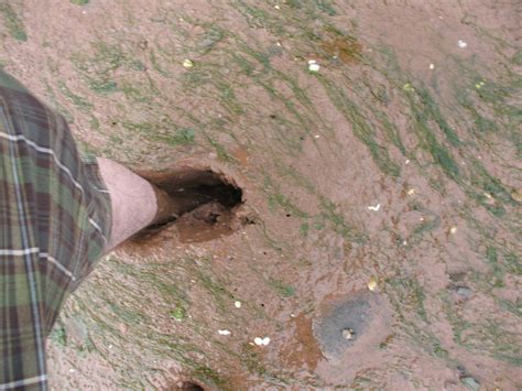 Heres My Foot Stuck In The Mud Mark Flickr