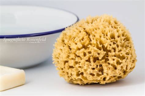 Natural Sponges Uses
