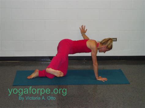 It stretches the back torso and neck, and softly stimulates and strengthens the abdominal organs. Cat Cow | Yoga For PE