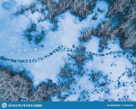 Panoramic Aerial View Of A Frozen Lake With Animal Footprints Animal
