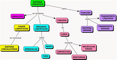 Mapa Conceptual Sobre Aparatos Y Sistemas Corporales Mapas Conceptuales Mind Maps Y Science