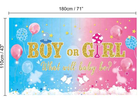 Gender Reveal Party Supplies Gender Reveal Banner Backdrop Etsy