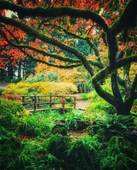 Assalammualaikum dan hai hai hai. The Garden of Eden Is Located in Beaverton | That Oregon Life