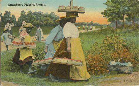 lot antique vintage african black americana postcard