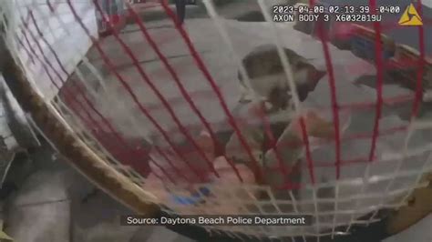 Video Bodycam Video Shows Daytona Beach Police Officer Hitting Suspect With Tennis Racket Wftv