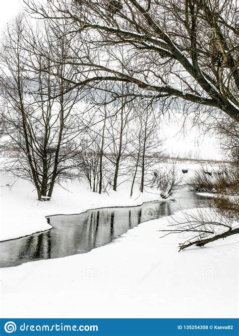 Small Winter Forest River Stock Photo Image Of Snowcovered 135254358