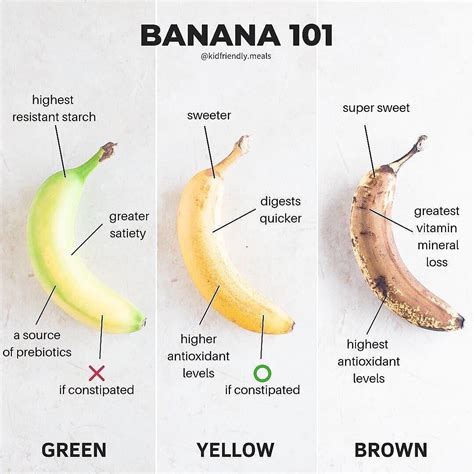 Banana 101 Rcoolguides