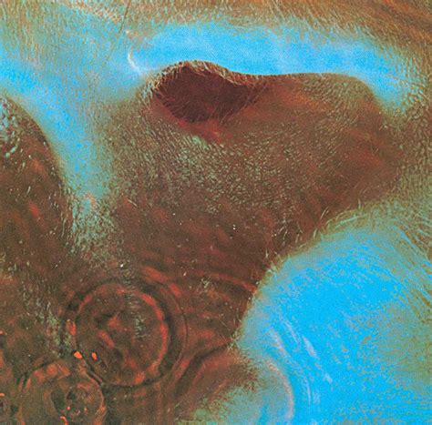 Mine is echoes by pink floyd. PINK FLOYD Echoes MP3 (Stream/Download)