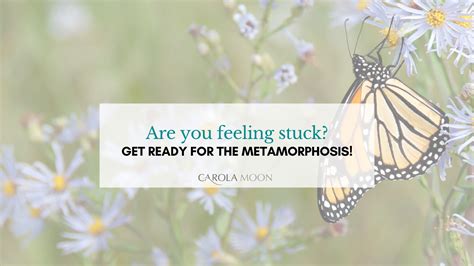 Are You Feeling Stuck Get Ready For The Metamorphosis — Carola Moon