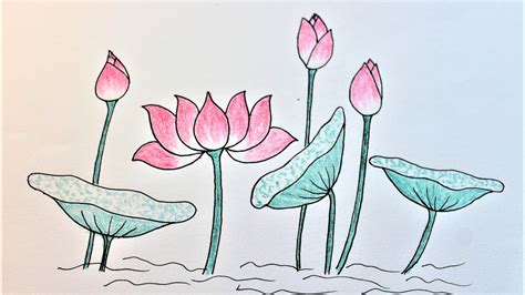 How To Draw Lotus Mẫu 1 Cách Vẽ Hoa Sen đẹp Trang Trí Báo Tường 20