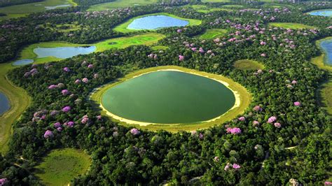 Aerial Pantanal - Bing Wallpaper Download