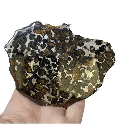 Meteorites For Sale Fossils 58 G Serico Pallasite Stony Iron