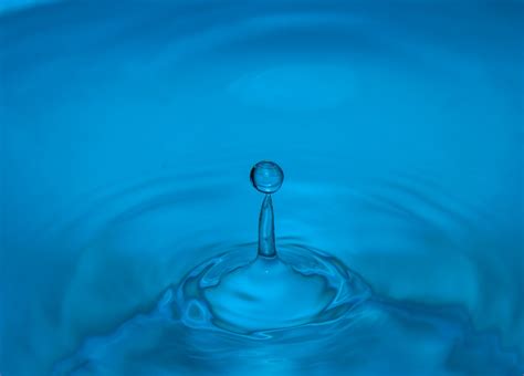 Free Images Liquid Wave Petal Wet Reflection Spray Blue Drip