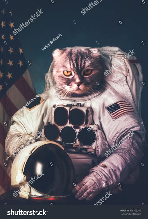 Beautiful Cat Astronaut Elements Of This Image Furnished By Nasa Ad