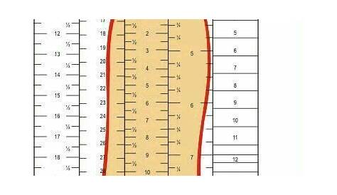 shoes measurement chart for printable adult (men and woman) shoes