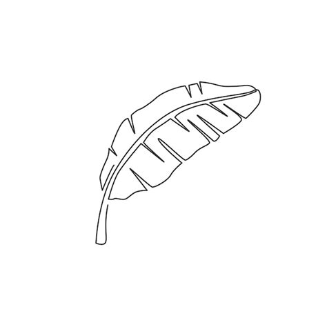 Premium Vector One Single Line Drawing Of Tropical Banana Leaf Plant