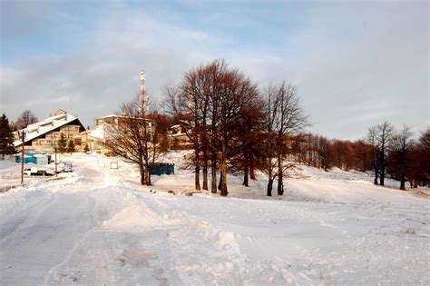 Atractii Turistice Cabana Brias