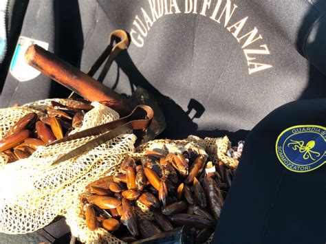 1 day ago · le indagini hanno consentito di accertare e documentare il disastro ambientale causato dal luglio 2016 al novembre scorso dagli indagati attraverso la distruzione di rocce e scogli da cui estrarre i datteri di mare, rocce frantumate con martelli a doppia punta. Molosiglio, sub sorpresi a staccare datteri di mare con ...