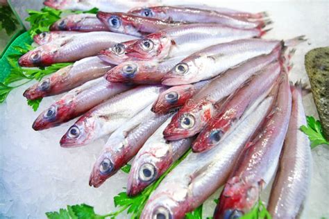 Fresh Fish On Ice Stock Image Image Of Mullet Cold Market 6756415