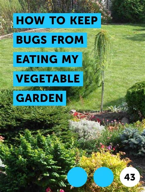 Pepper is an easy way to keep bugs out of your vegetable garden. How to Keep Bugs From Eating My Vegetable Garden | Vegetable garden, Garden, Plants
