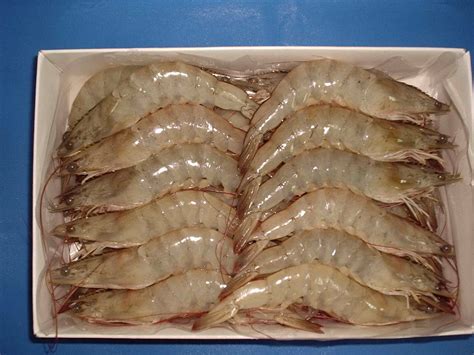 Frozen Vannamei Shrimp HOSO Vietnam Price Supplier 21food