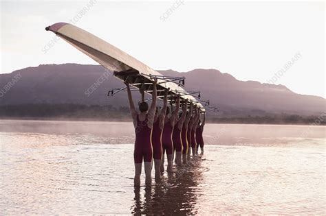 Rowing Team Carrying Row Boat Stock Image F0139759 Science Photo