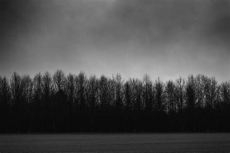 Dark Tree Line Black And White Landscape Photograph Keith Dotson