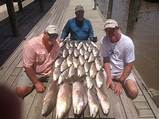 Florida Saltwater Fishing License Photos
