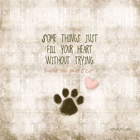 Love Your Dog Quotes Quotesgram