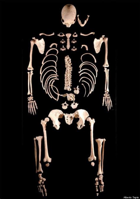 First Farmers 7000 Year Old Caveman Bones Found Genetic Literacy