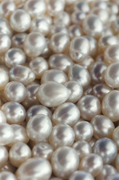 The History Of Pearls One Of Nature S Greatest Miracles Artofit