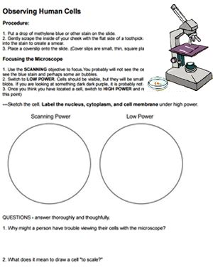 Check spelling or type a new query. Observing Human Cells
