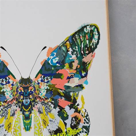 Brasilia Butterfly Art Print By Kitty Mc Call