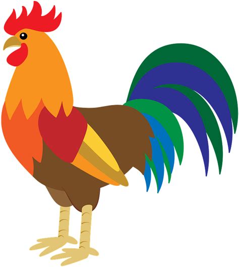 Free Png Rooster Transparent Roosterpng Images Pluspng Images