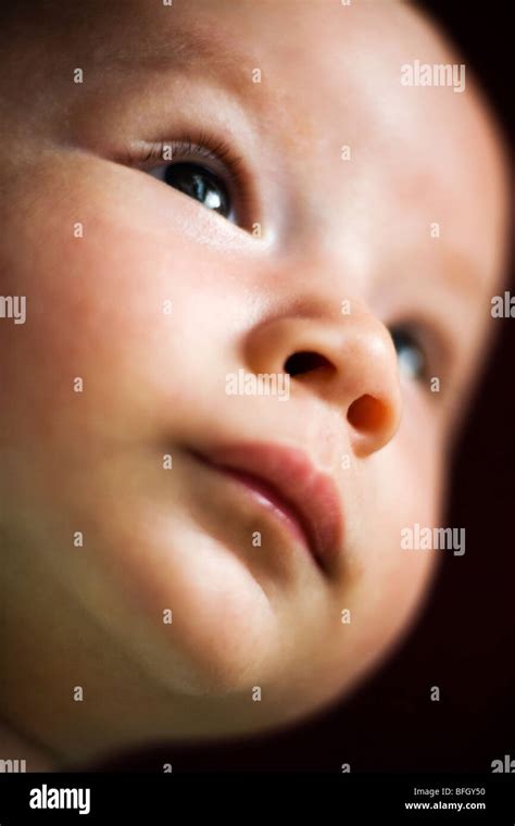 Close Up Of A 2 Months Old Eurasian Baby Boy Stock Photo Alamy