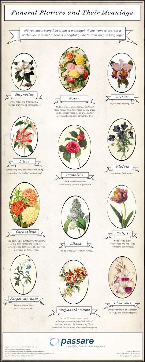 Each Flower Meaning Each Flower Has A Specific Meaning This Chart