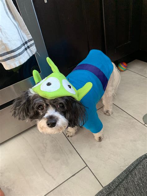 Alien Dog Costume Toy Story Alien Dog Outfit Halloween Dog Etsy