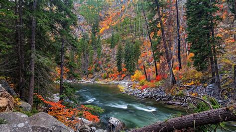 Lake Water Stream Surrounded By Green Red Yellow Trees Hd Nature
