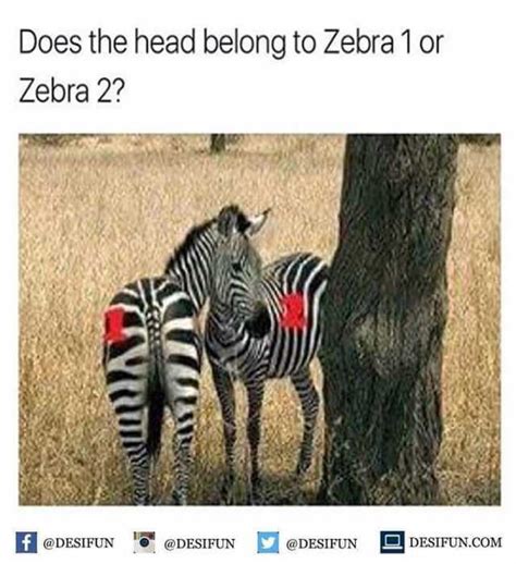 Memes Does The Head Belong To Zebra 1 Or Zebra 2