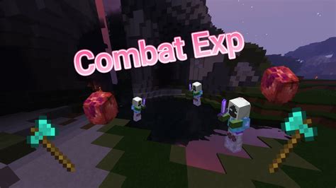 I Found The New Best Way To Get Combat Exp Hypixel Skyblock Youtube