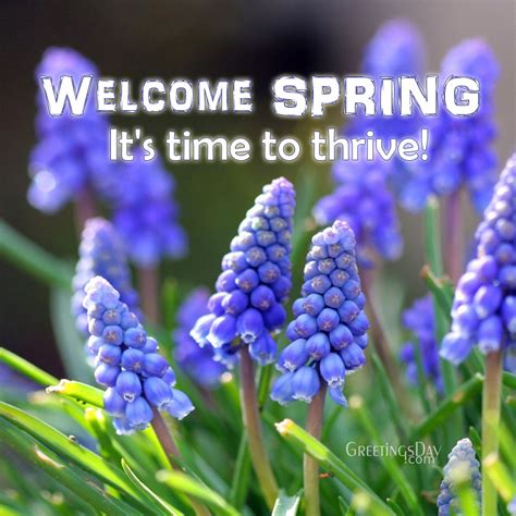 Welcome Spring Online Cards Animated Pics And Quotes