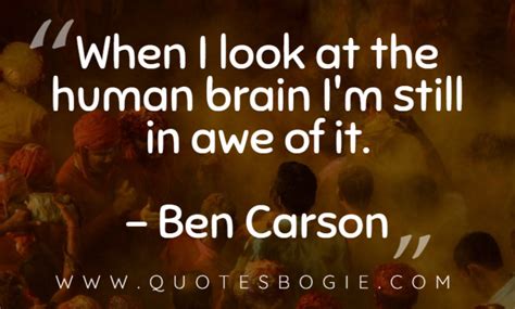When I Look At The Human Brain Im Still In Awe Of It Quotesbogie