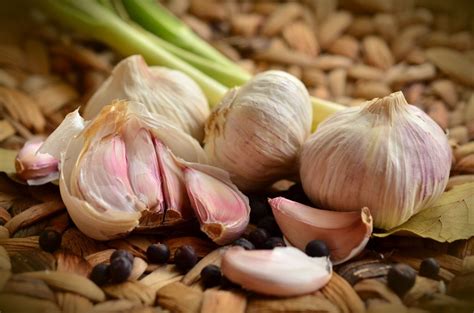 As we begin to feel a few warm days of spring, you're probably getting the itch to get out of your home. How to Get Rid of a Fever Blister: 14 Excellent Home ...