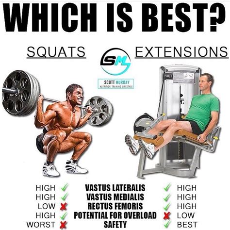 Which Do You Prefer So Having Only Ever Done Squats Vs Leg Press