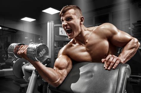16 best weight loss supplements that work. Ishcemic Preacher Curls Biceps Exercise Videos | Infinity