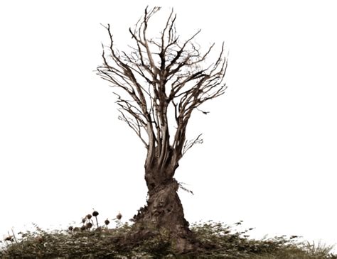 Dead Tree Png Official Psds