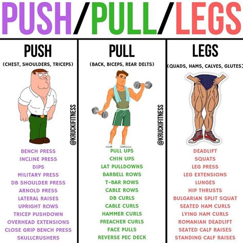 Krucki Fitness On Instagram PUSH PULL LEGS By Kruckifitness If You